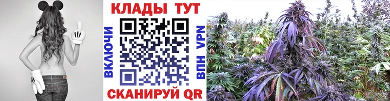 Что такое Кингисепп Конопля  АМФЕТАМИН  ГАШ  КОКАИН 