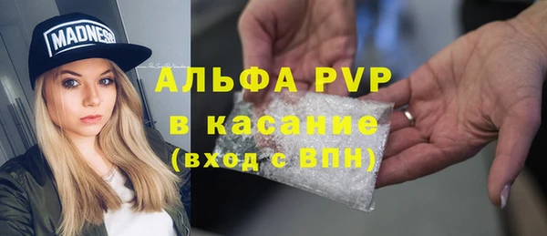 ешки Арсеньев